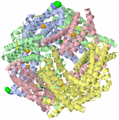 Image Biological Unit 1