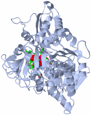 Image Biol. Unit 1 - sites