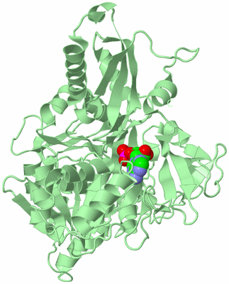 Image Biological Unit 2