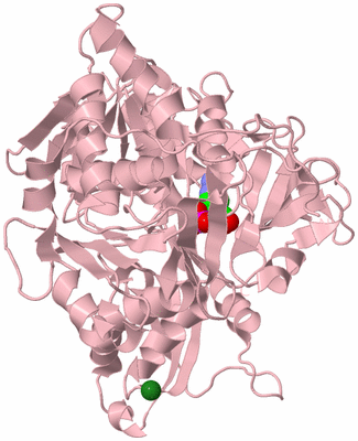 Image Biological Unit 3