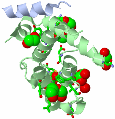 Image Asym./Biol. Unit - sites