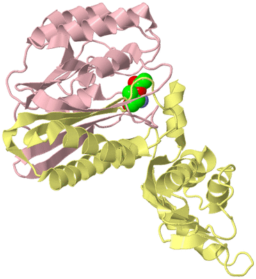 Image Biological Unit 2