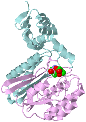 Image Biological Unit 3