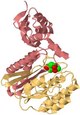 Image Biological Unit 4