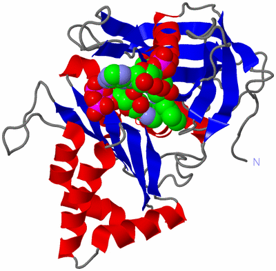 Image Asym./Biol. Unit