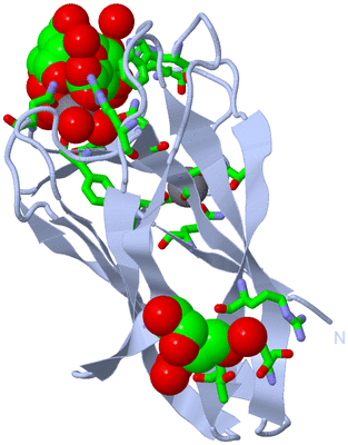 Image Biol. Unit 1 - sites