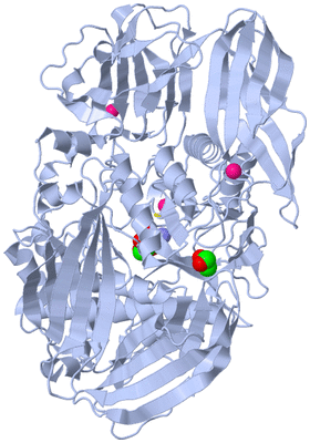 Image Biological Unit 1