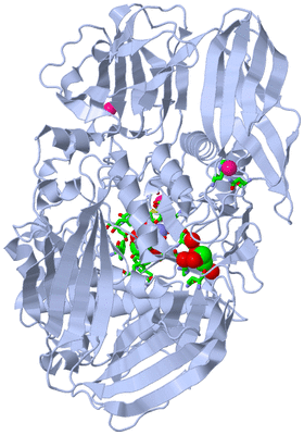 Image Biol. Unit 1 - sites