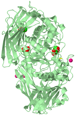 Image Biological Unit 2