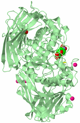 Image Biological Unit 2