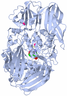 Image Biological Unit 1