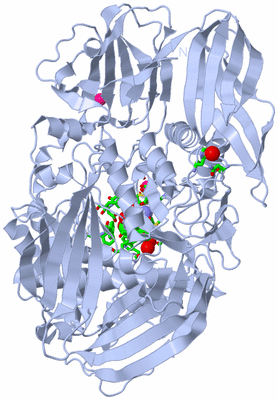 Image Biol. Unit 1 - sites