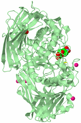 Image Biological Unit 2