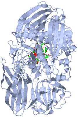 Image Biol. Unit 1 - sites