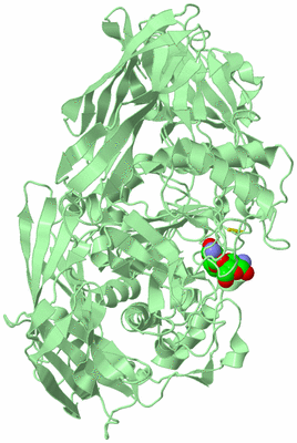 Image Biological Unit 2