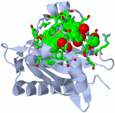 Image Biol. Unit 1 - sites