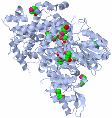 Image Biological Unit 1