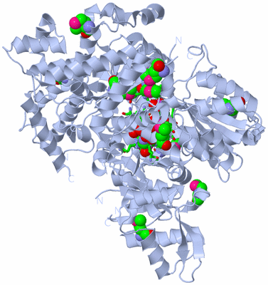 Image Biol. Unit 1 - sites