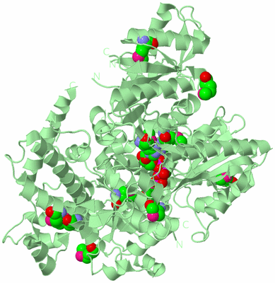 Image Biological Unit 2