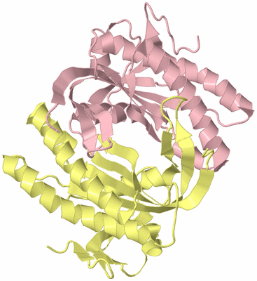 Image Biological Unit 2