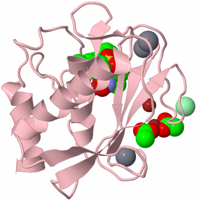 Image Biological Unit 3