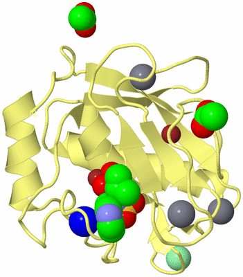 Image Biological Unit 4