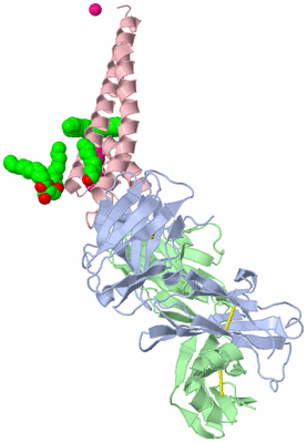 Image Asymmetric Unit