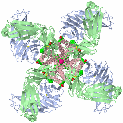 Image Biological Unit 1