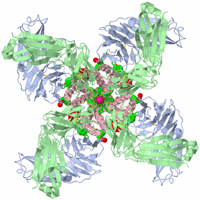 Image Biol. Unit 1 - sites