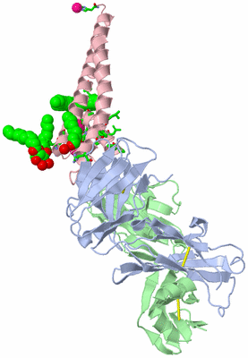 Image Asym. Unit - sites