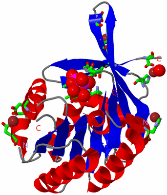 Image Asym./Biol. Unit - sites