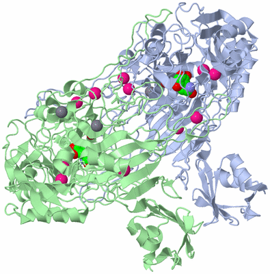 Image Asym./Biol. Unit