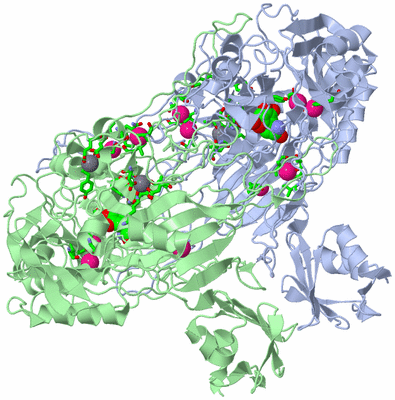 Image Asym./Biol. Unit - sites