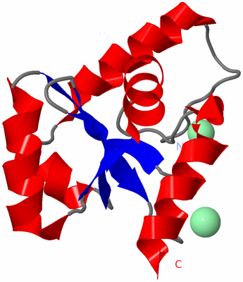 Image Asymmetric Unit