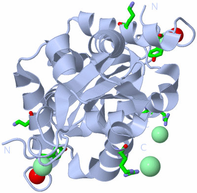 Image Biol. Unit 1 - sites