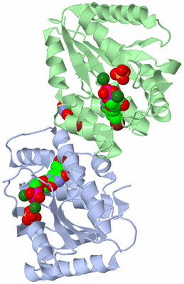 Image Biological Unit 1