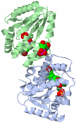 Image Biological Unit 2