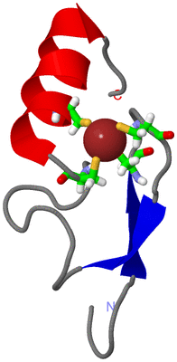 Image NMR Structure - model 1, sites