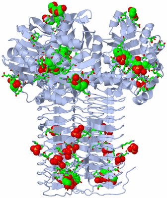 Image Biol. Unit 1 - sites