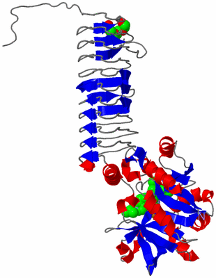 Image Asymmetric Unit