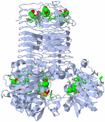 Image Biol. Unit 1 - sites