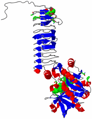 Image Asym. Unit - sites