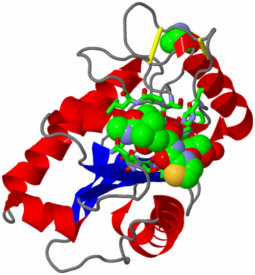 Image Asym./Biol. Unit - sites