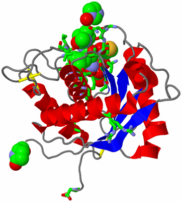 Image Asym./Biol. Unit - sites