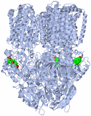 Image Biol. Unit 1 - sites