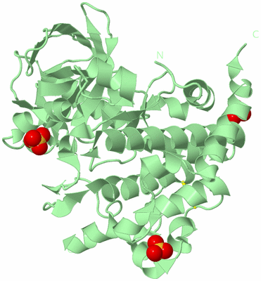 Image Biological Unit 2