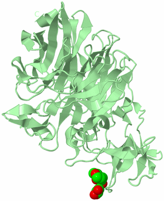 Image Biological Unit 2