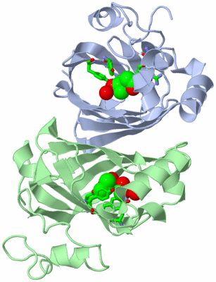 Image Asym./Biol. Unit - sites