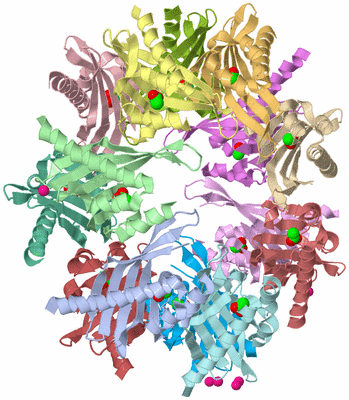 Image Asym./Biol. Unit