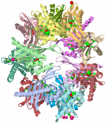 Image Asym./Biol. Unit - sites